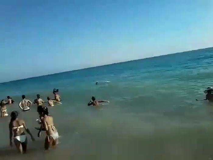 8554195-delfinomp4_1620399719049