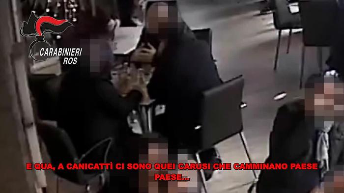 86028427-canicamp4_1620392133602