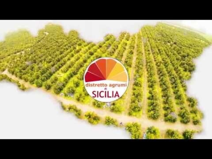 8a51VdHxG4Y_1620405140524