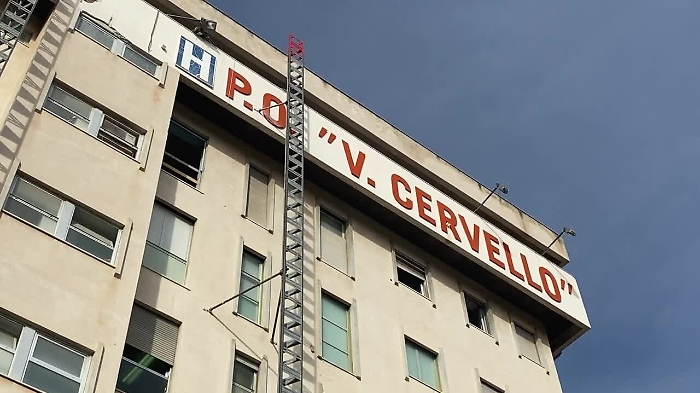 95576770-GREZZOEITWCERVELLOmp4_1620391326640