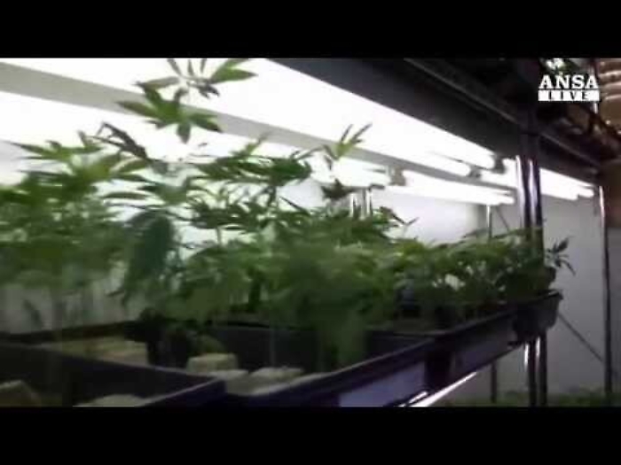 95NgYkPWnbs_1620411476659