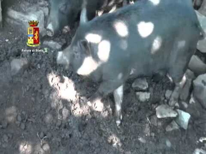 A-_U41TUjOc_1620376442337