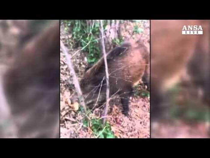 J8ZI-x28IM_1620385316856