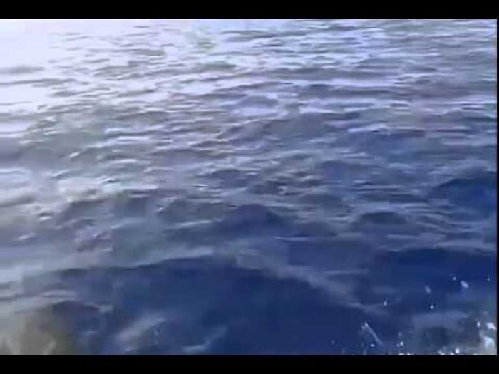 XhLHGFk0Jhc_1620385270089