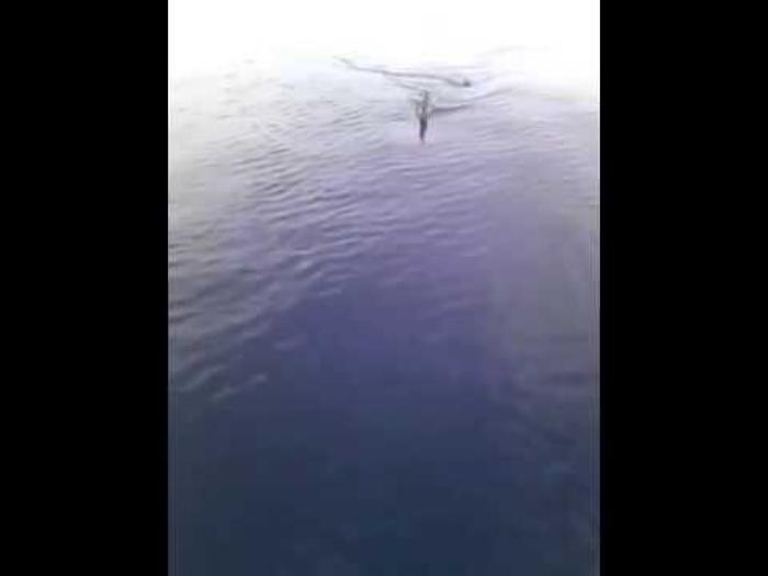 gzpGh4rXnOU_1620394888790