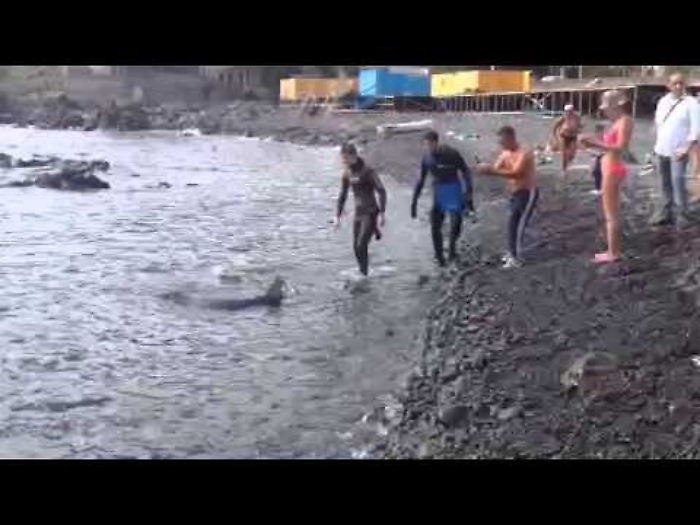 jm78xJ568Mg_1620383638961