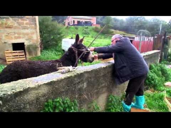 vlLq445w5jI_1620397682598