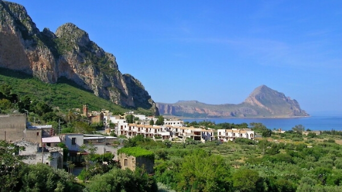 1615819530345_1620642554587