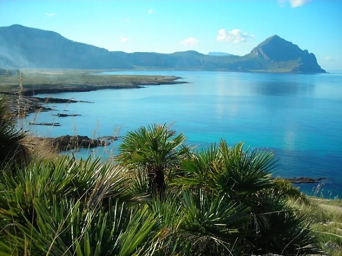 1615819563818_1620642559120