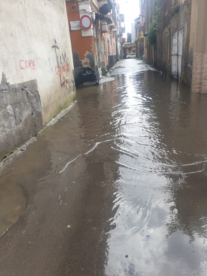 1616348973531_1620642891878