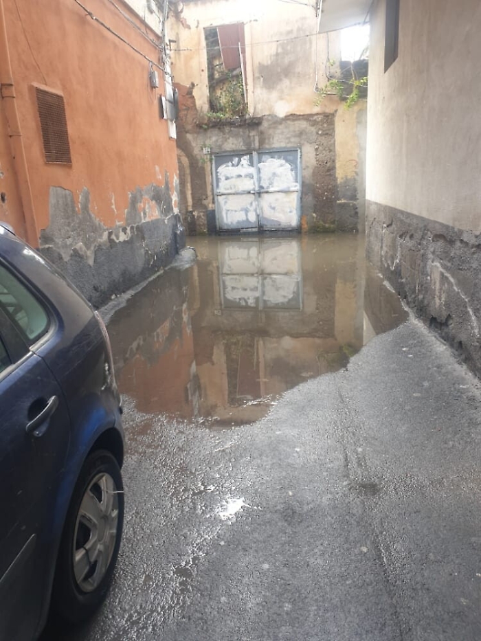 1616348973671_1620642894815