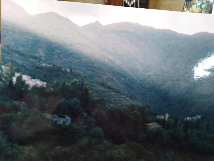 1616351790374_1620642916550