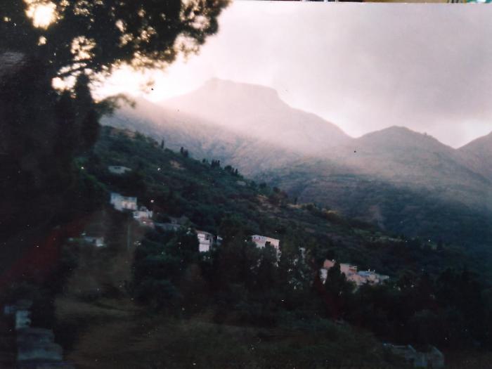 1616351791148_1620642925043