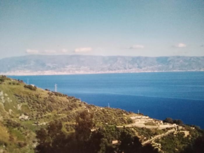 1616351791780_1620642930605