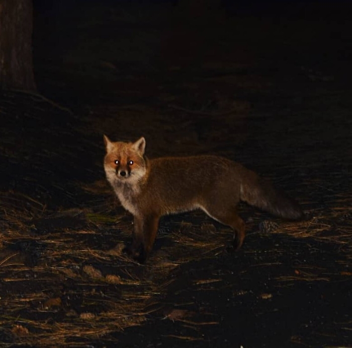 1616431687186_1620673021065