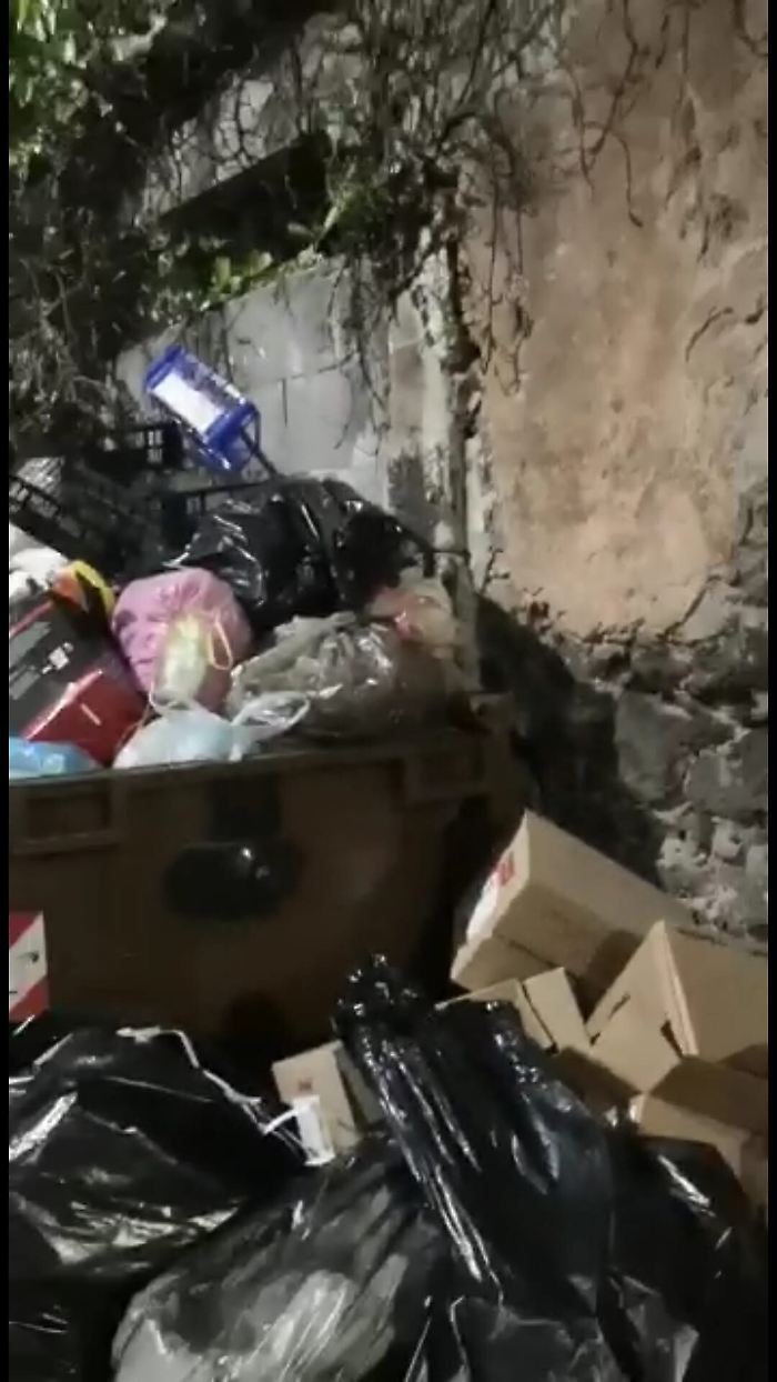 1616432021100_1620673032924