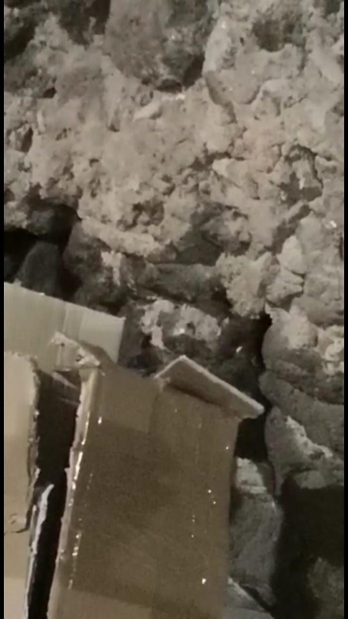 1616432021407_1620673035868