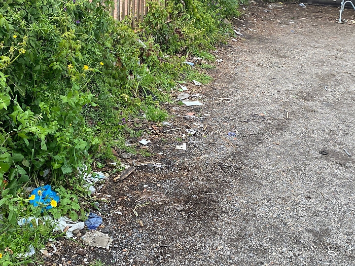 1616579279248_1620673188841