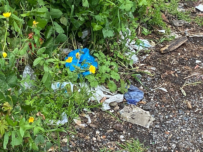 1616579280938_1620673192938