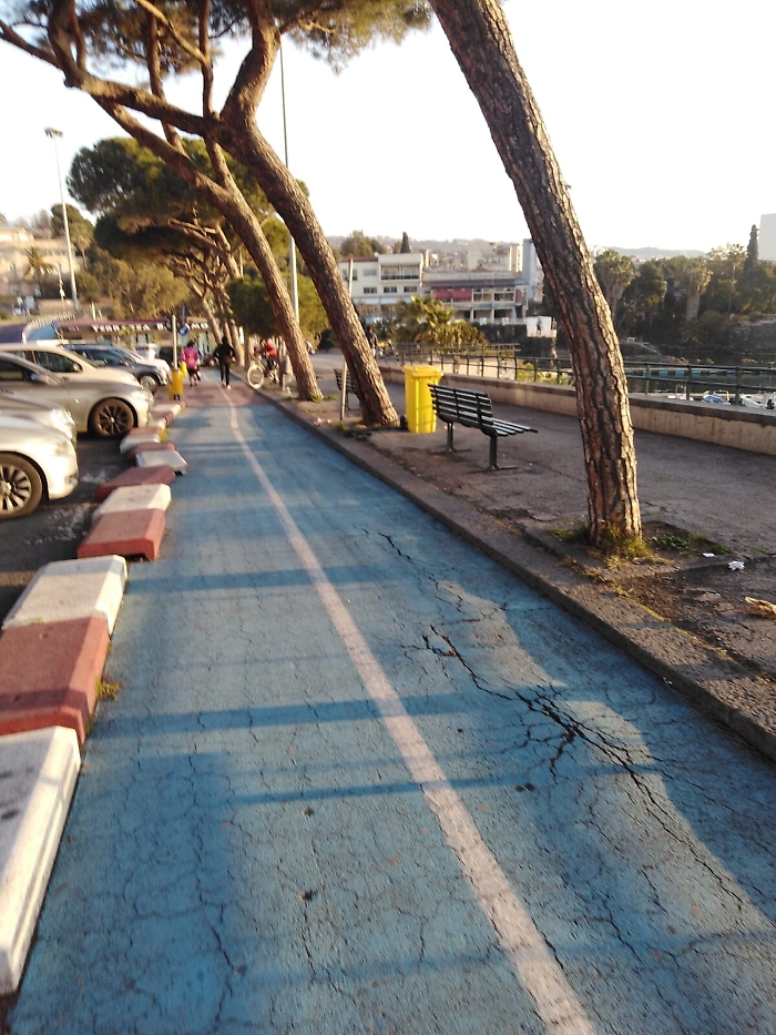 1617119139125_1620656713048