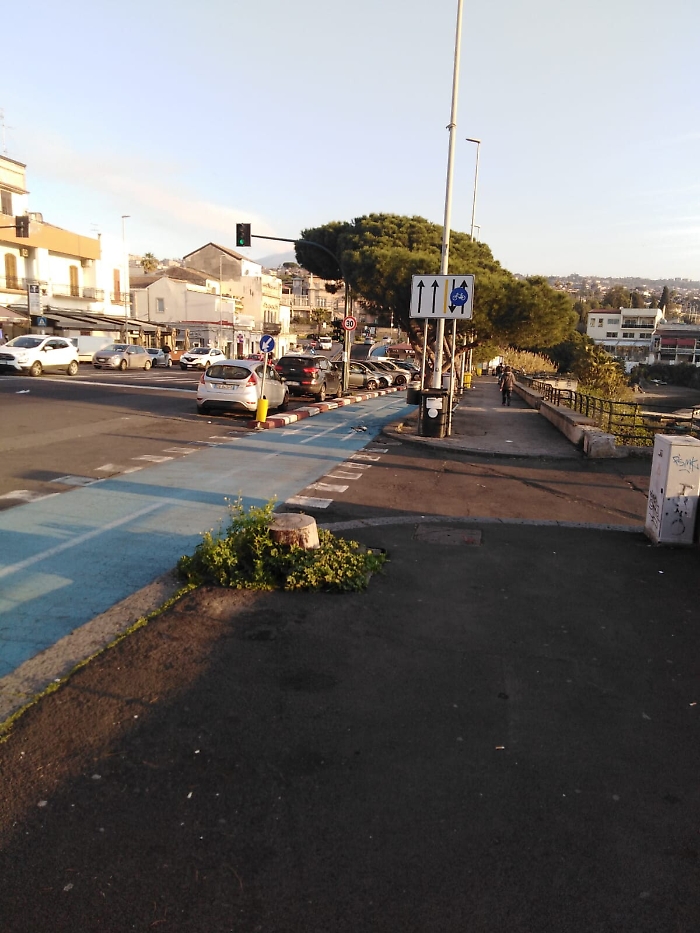 1617119139822_1620656718859