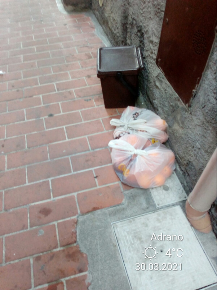 1617119388259_1620656730181