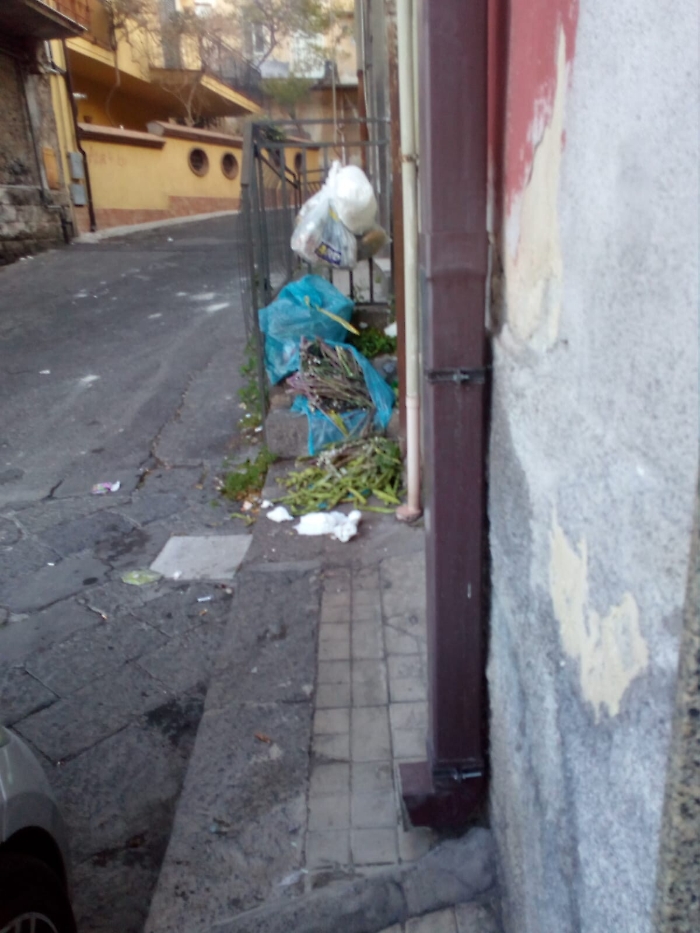 1617119388522_1620656733014