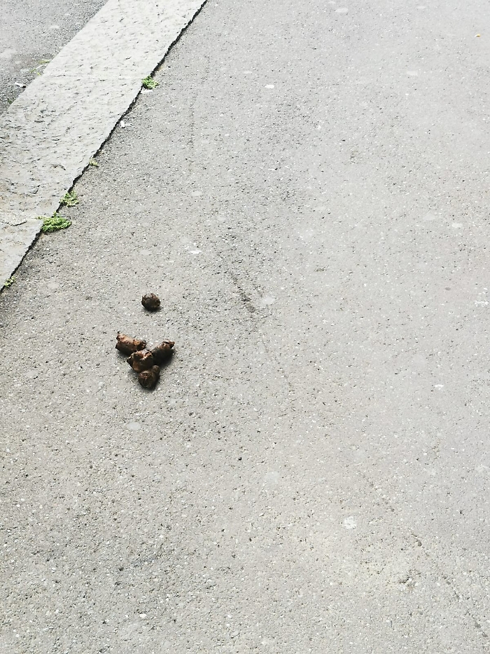 1617728211921_1620653198062