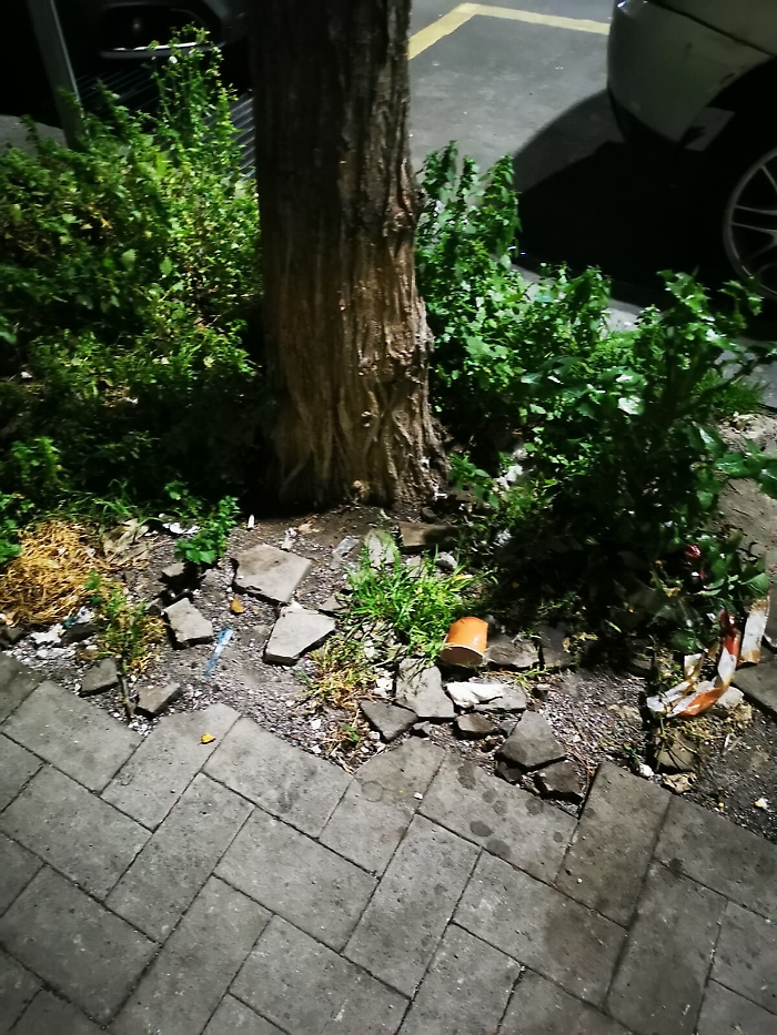 1617728213175_1620653206683