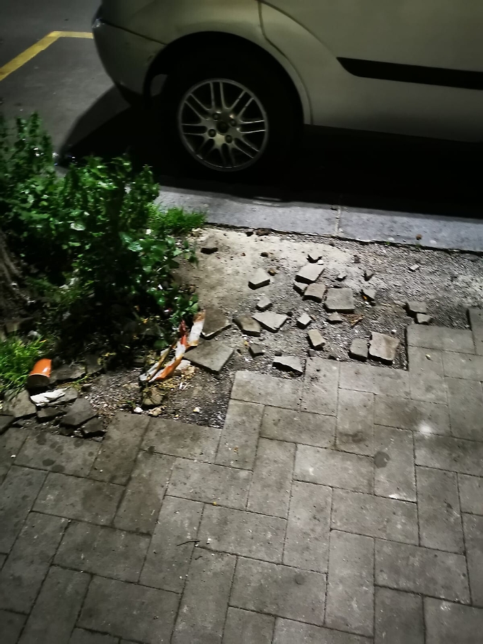 1617728213451_1620653209501