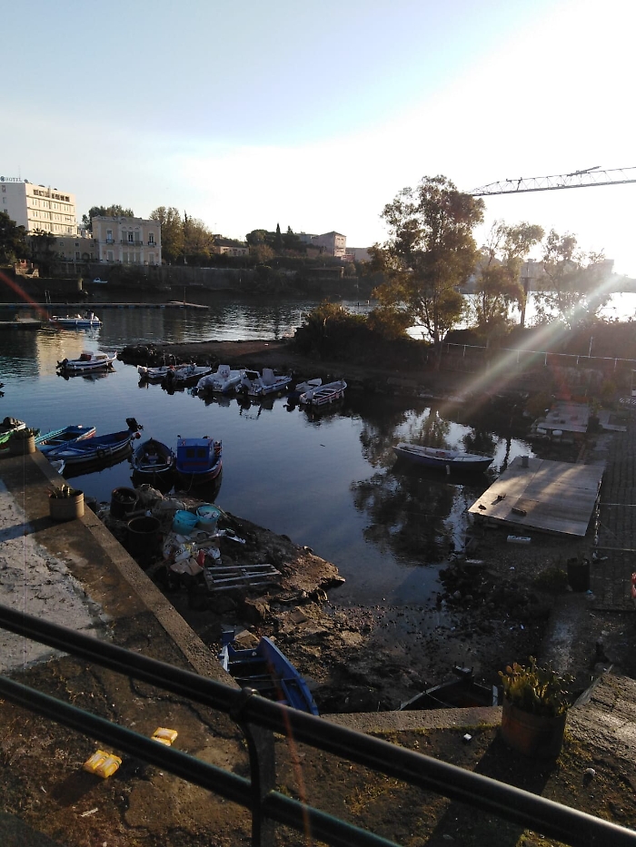 1617728677631_1620653223636