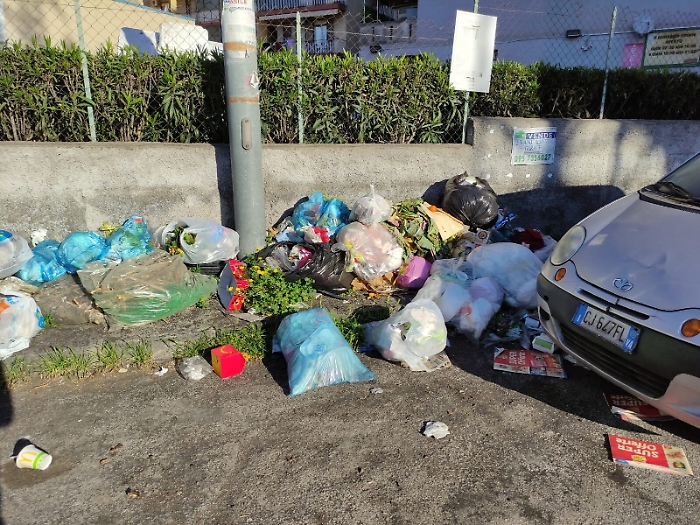 1617729269142_1620653232725