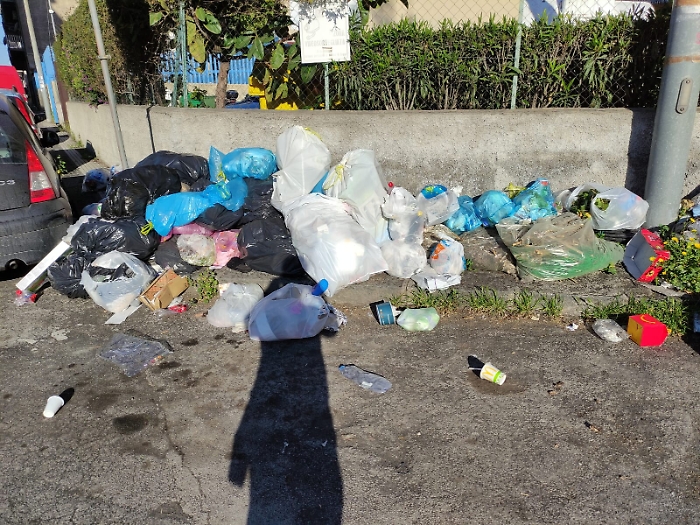 1617729269473_1620653235632