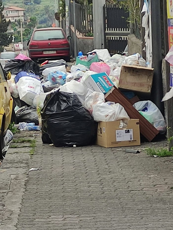 1617729269840_1620653238537