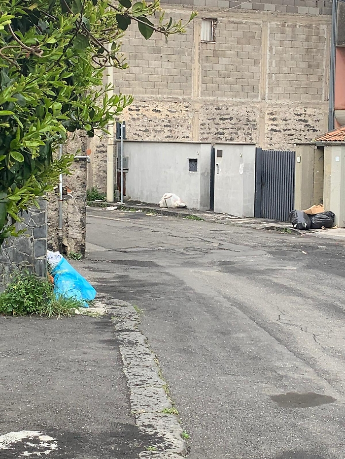 1617809367100_1620653286329