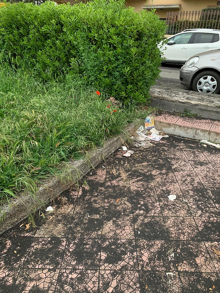 1617809367420_1620653289275