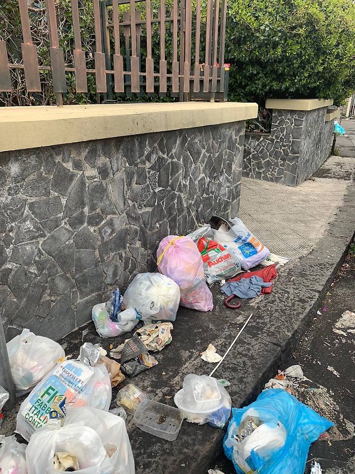 1617809367739_1620653292172