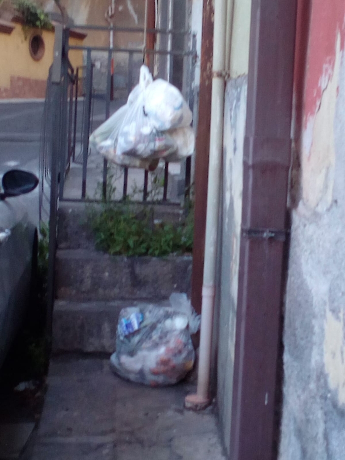 1617983744507_1620653382799