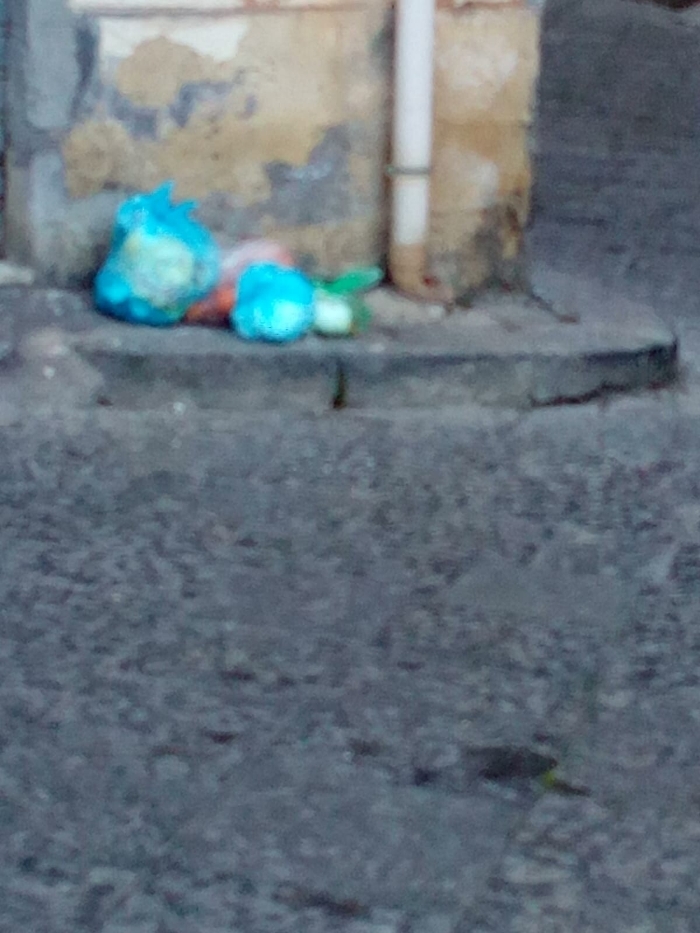 1617983744816_1620653385977