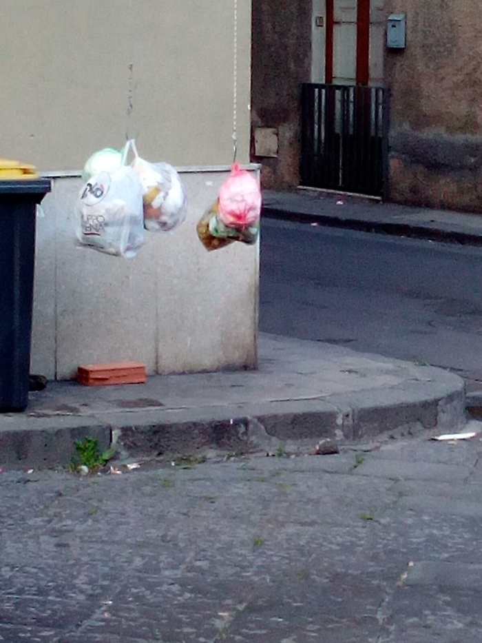 1617983745158_1620653388651