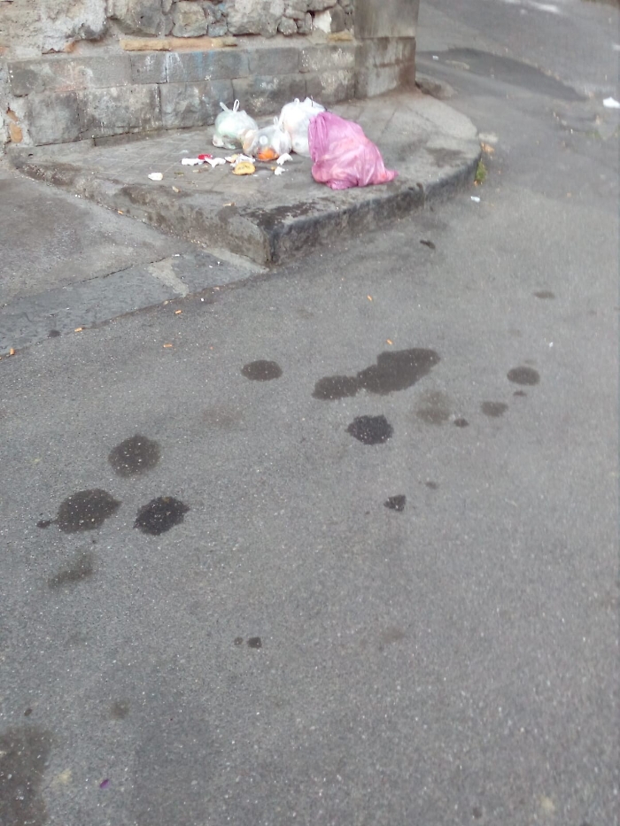 1617983745461_1620653391342