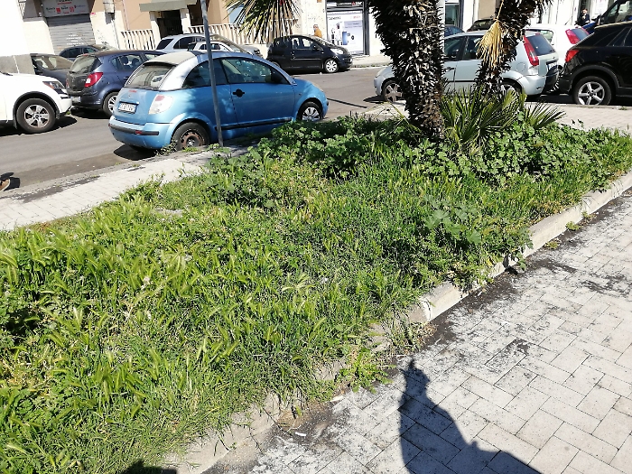 1618048342500_1620653485440