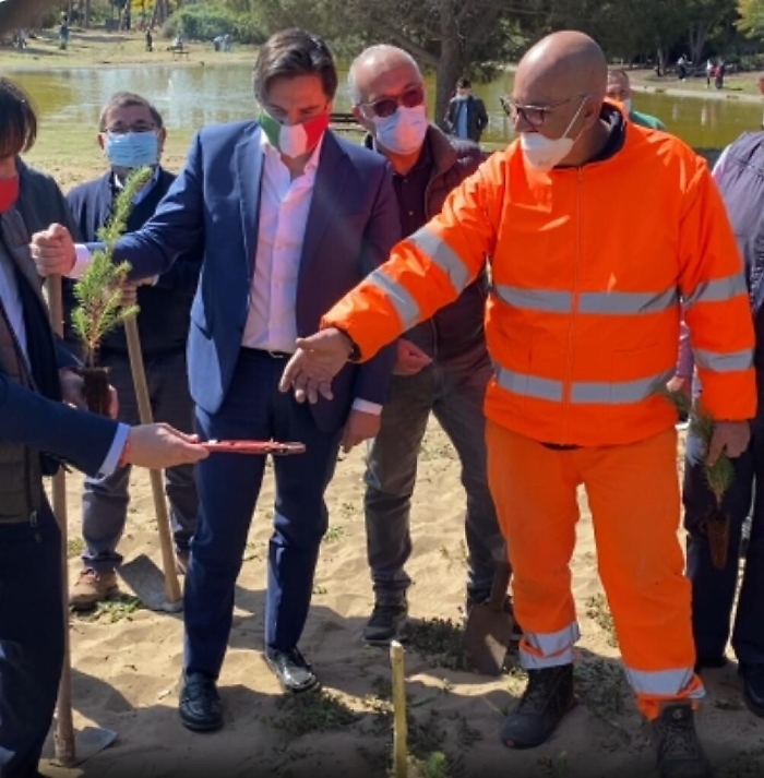 1618067055187_1620653521980