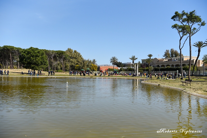 1618067065401_1620653524312