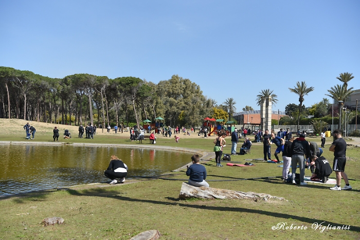 1618067078577_1620653512693