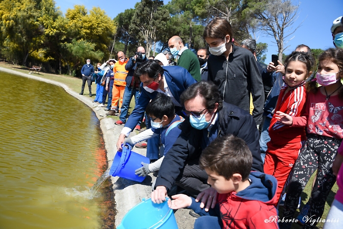 1618068334881_1620653532668