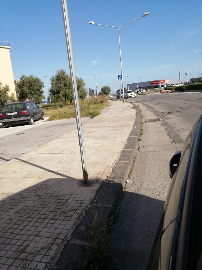 1618157416417_1620653579812