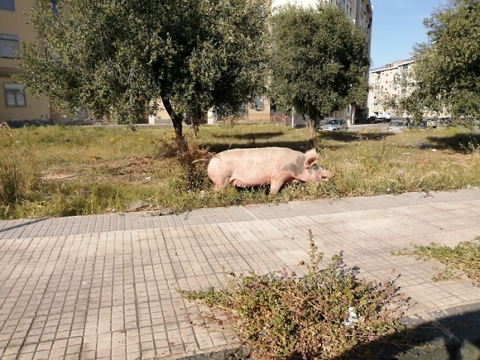 1618157416796_1620653582701