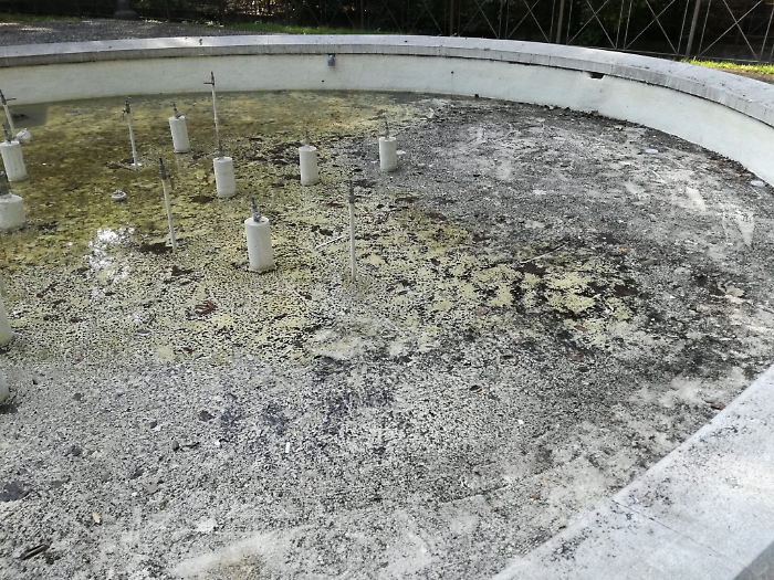 1618242493597_1620688604295