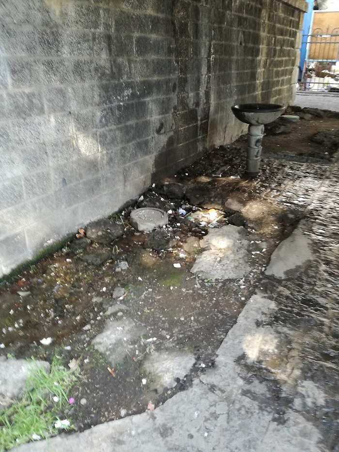 1618242495287_1620688610154